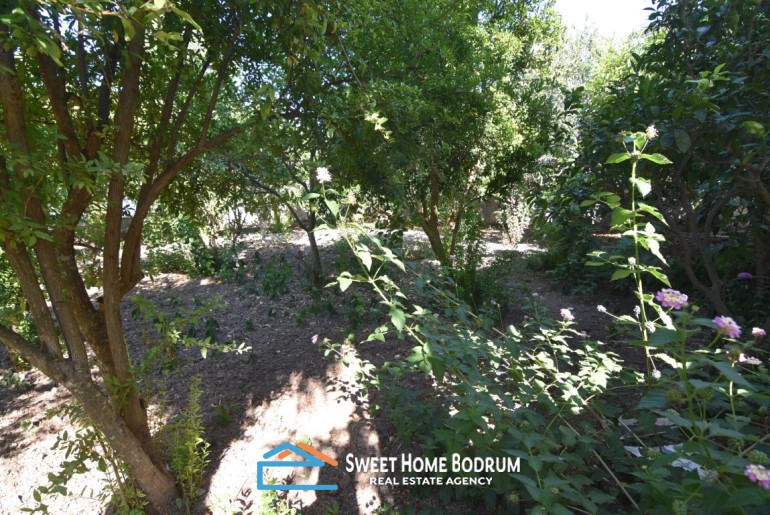 Yalıkavak merkezde, Marina'ya yürüme mesafesinde, müstakil kiralık tek kat