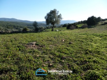 72 acres of land for sale in Mumcular
